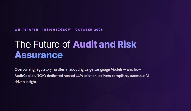 Cover of the HLBNGA whitepaper on the future of audit and risk assurance